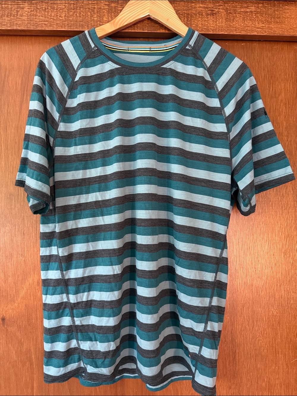 Smartwool T Shirt